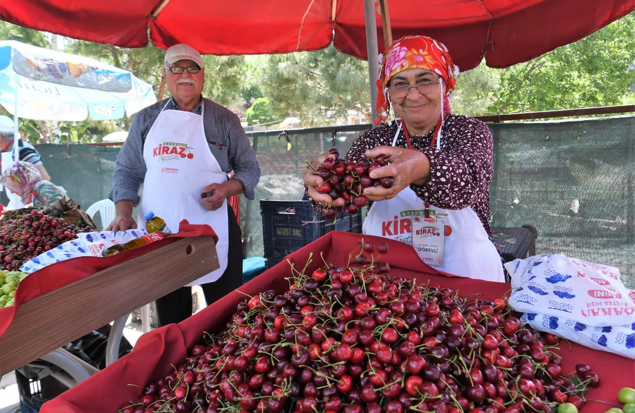 Bornova’da Kiraz Festivali coşkusu Beşyol’u saracak
