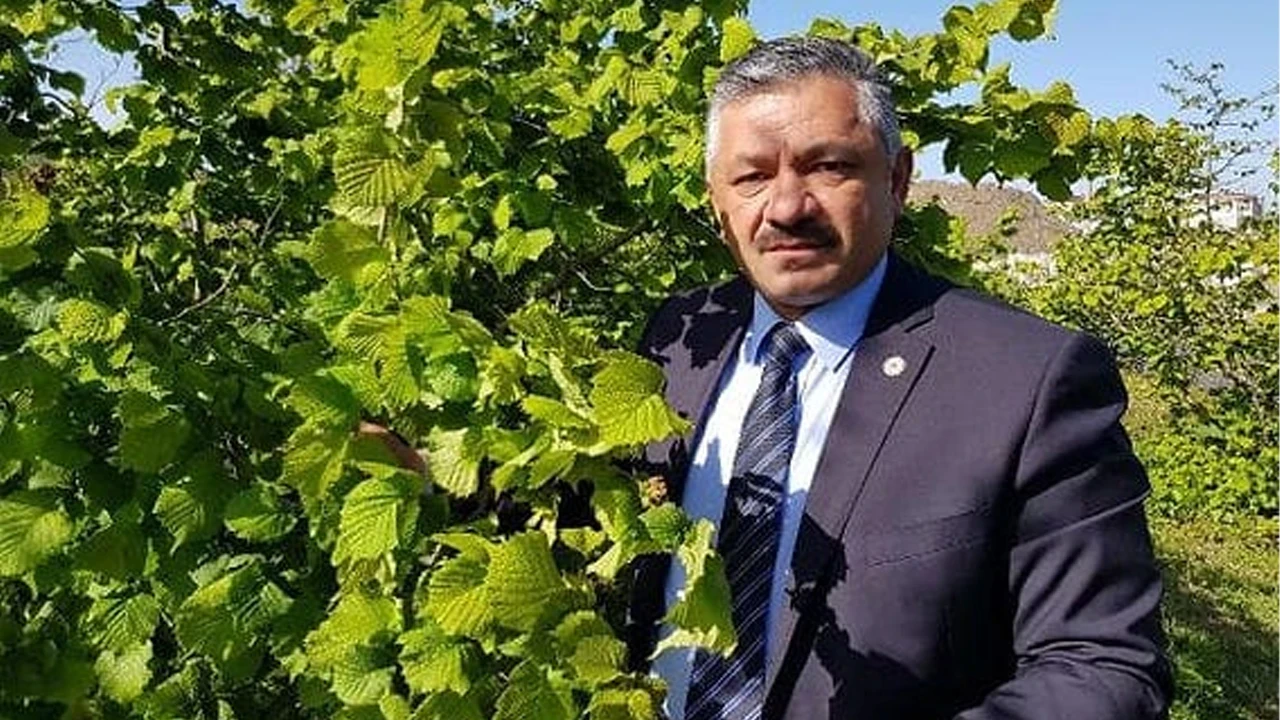 Fındık üreticisine erken hasat uyarısı
