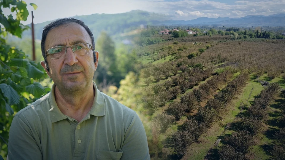 File Örtü Yöntemi: Fındıkta artan 2026 işçilik maliyetlerine karşı uzman tavsiyesi | Ekonomi Haberleri