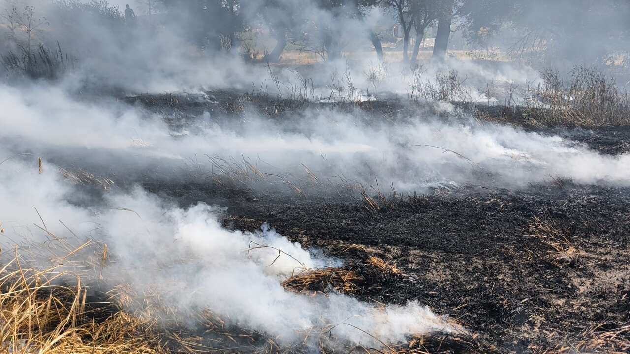 Kütahya'da buğday tarlasında çıkan yangın söndürüldü