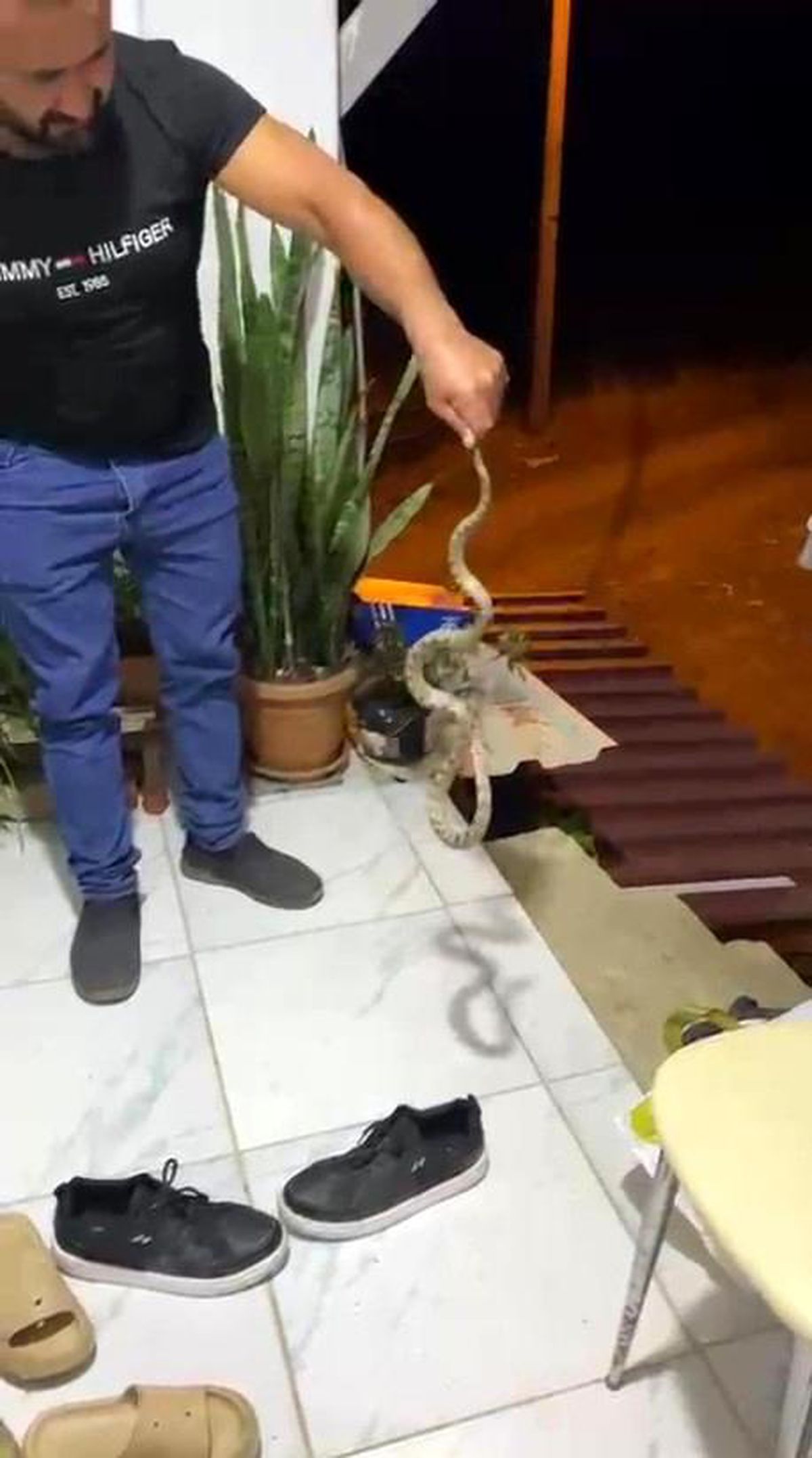 Evine giren yılanı "Evime gelme bak, kafanı ezerim" diyerek doğaya bıraktı