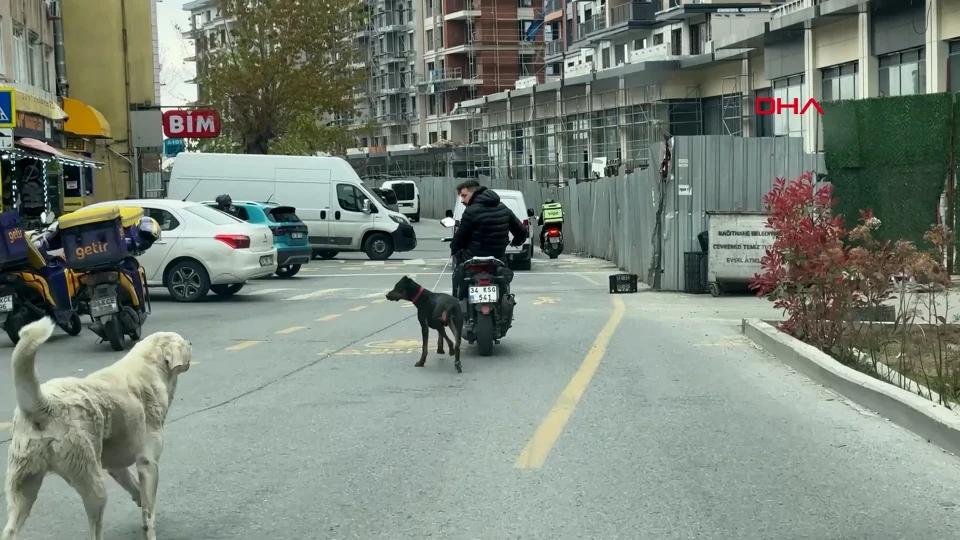 Motosiklete Bağlı Köpek Olayında Sürücüye İdari Ceza