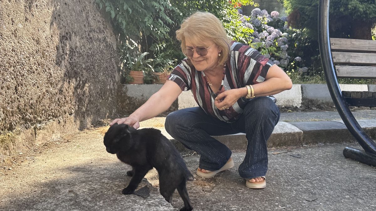 Vücudunda kırıklar bulunan sahipsiz kedi öğretmenlerin desteğiyle hayata tutundu