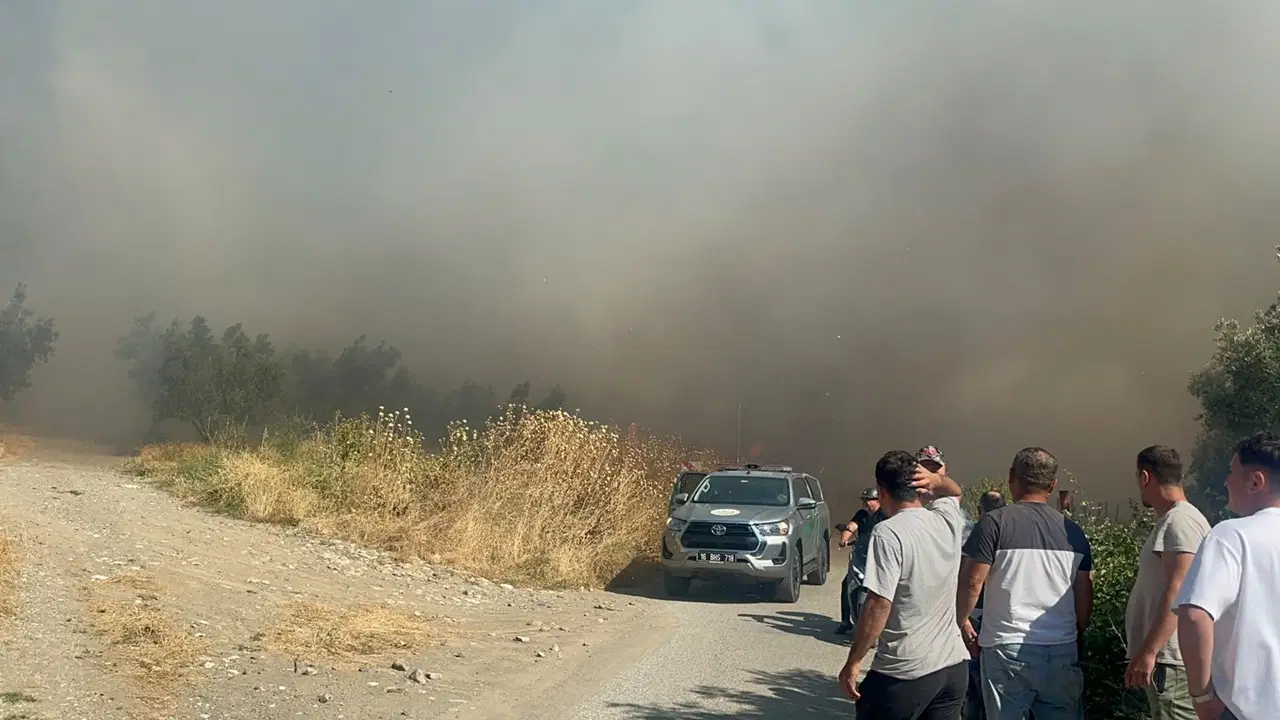 İznik’te çöplükte çıkan yangın çalılığa sıçradı: Ekiplerin müdahalesi sürüyor