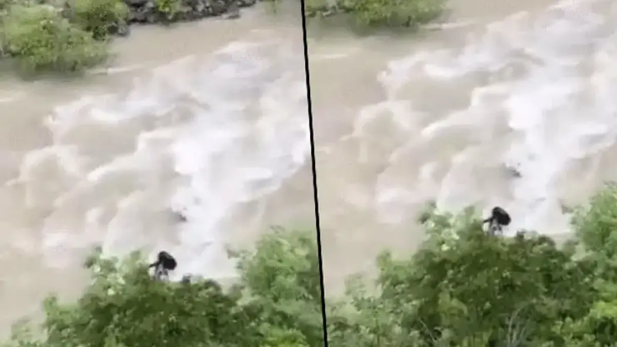 Artvin'de arabayla Çoruh Nehri'ne düşen baba ile oğlu aranıyor