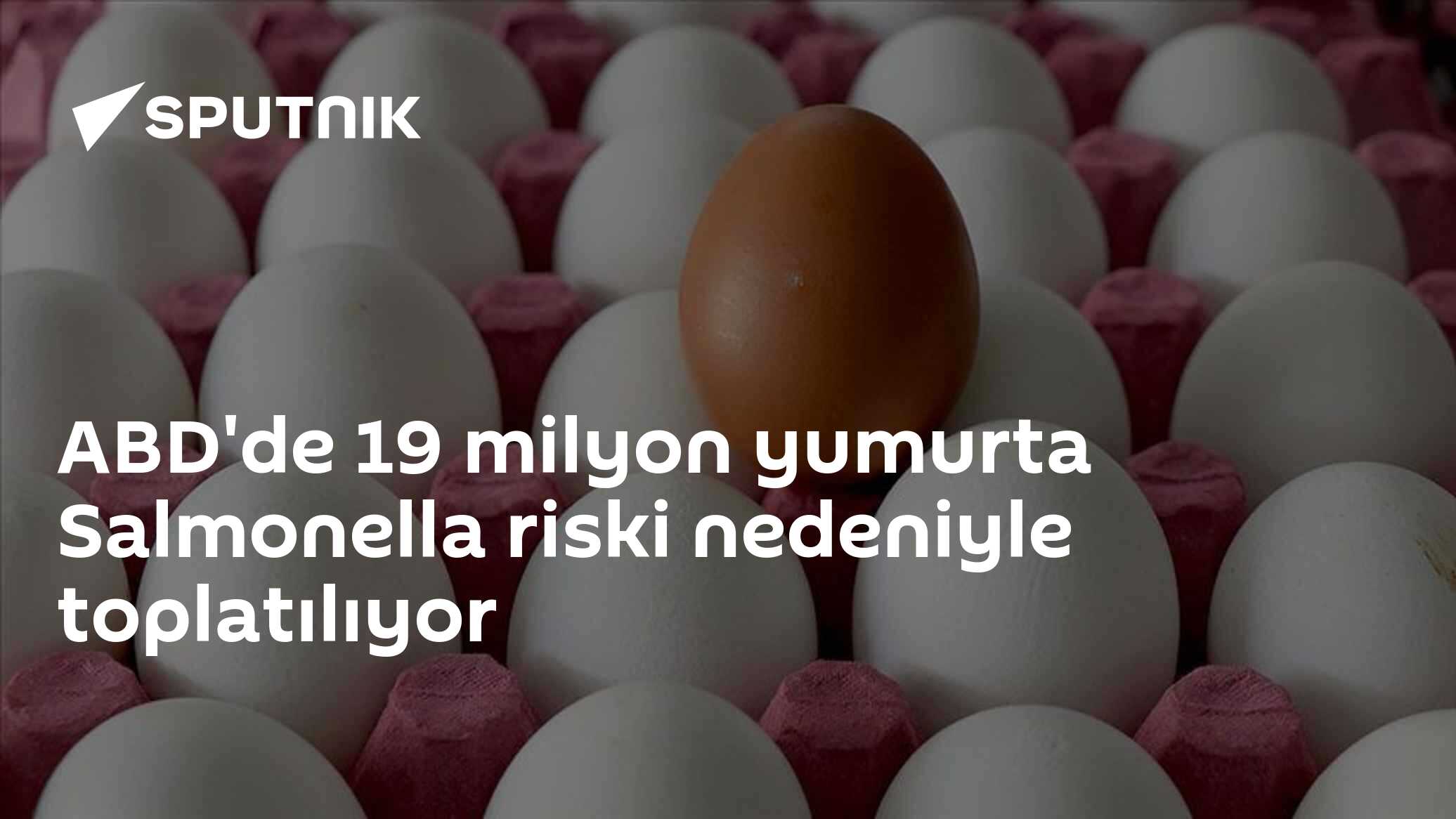 ABD'de 19 milyon yumurta Salmonella riski nedeniyle toplatılıyor