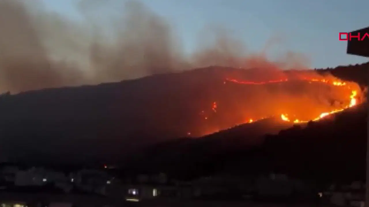İzmir'de otluk alanda yangın: Hava desteği sonlandırıldı, karadan müdahale sürüyor!