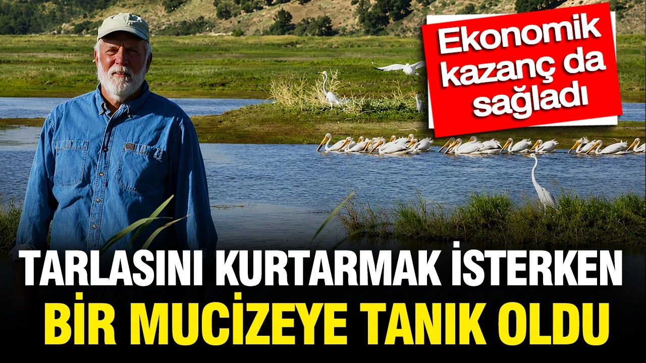 Tarlasını kurtarmak isterken bambaşka bir mucizeye tanık oldu