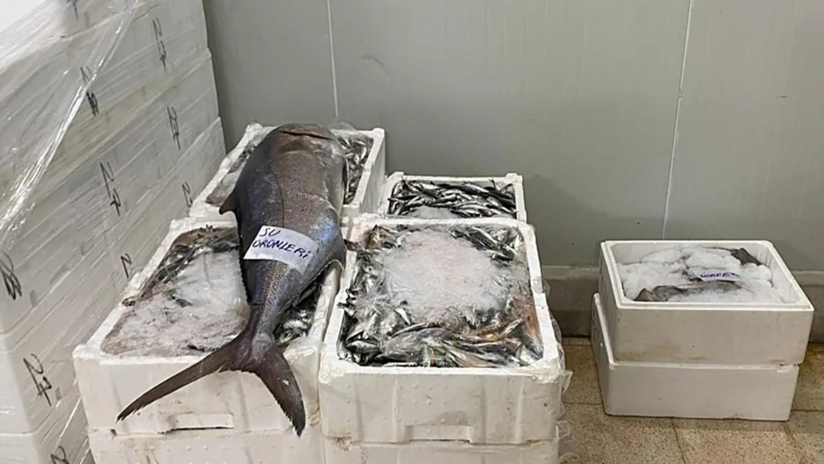 Denetimde ortaya çıktı! İzmir’de kaçak av operasyonu: 241 kilogram su ürünü…