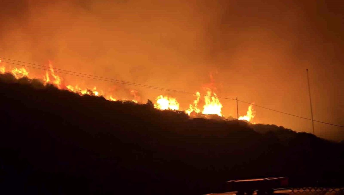 İzmir'de makilik alanda yangın