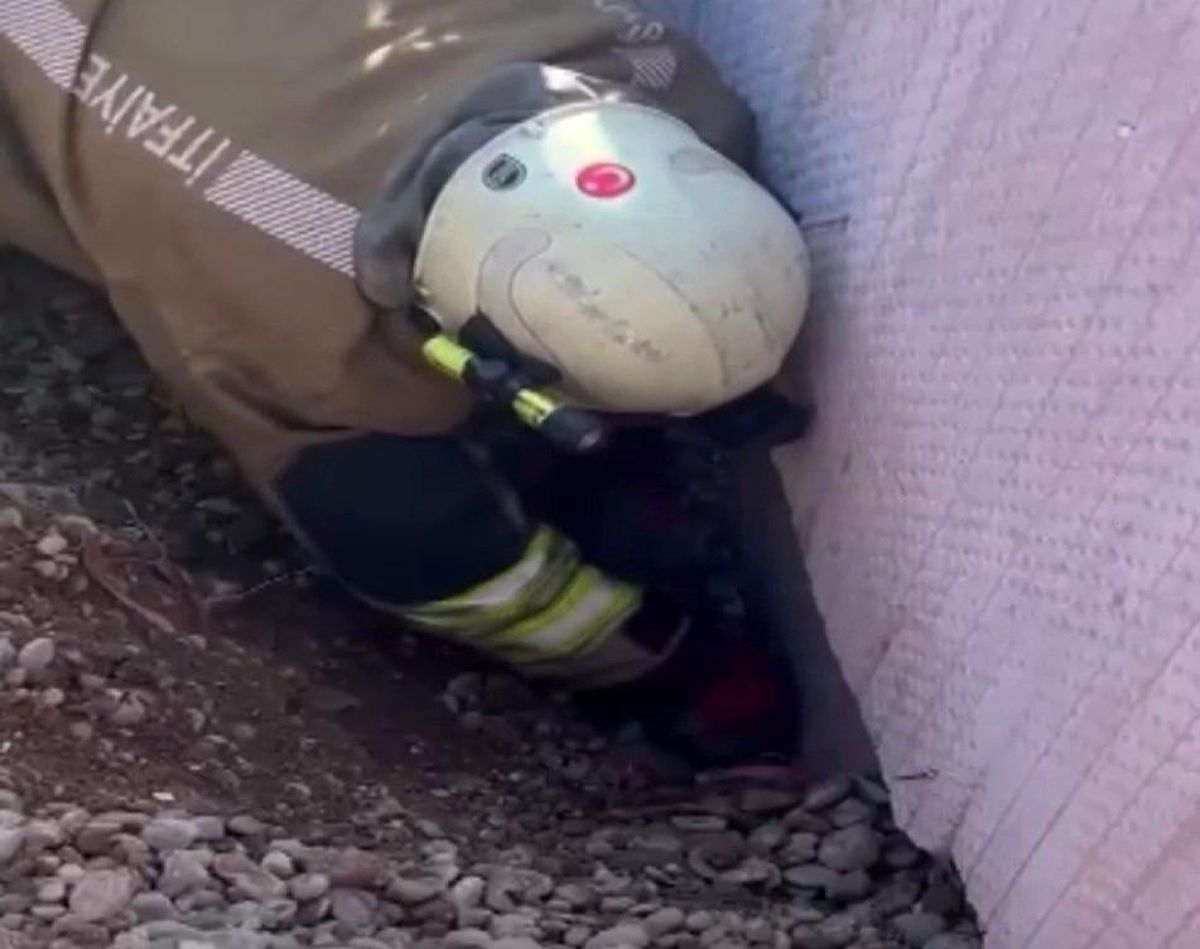 Moloz yığını altında kalan yavru kedi kurtarıldı