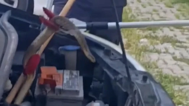 Sivas'ta otomobilin motoruna giren yılan itfaiye ekiplerince çıkarıldı