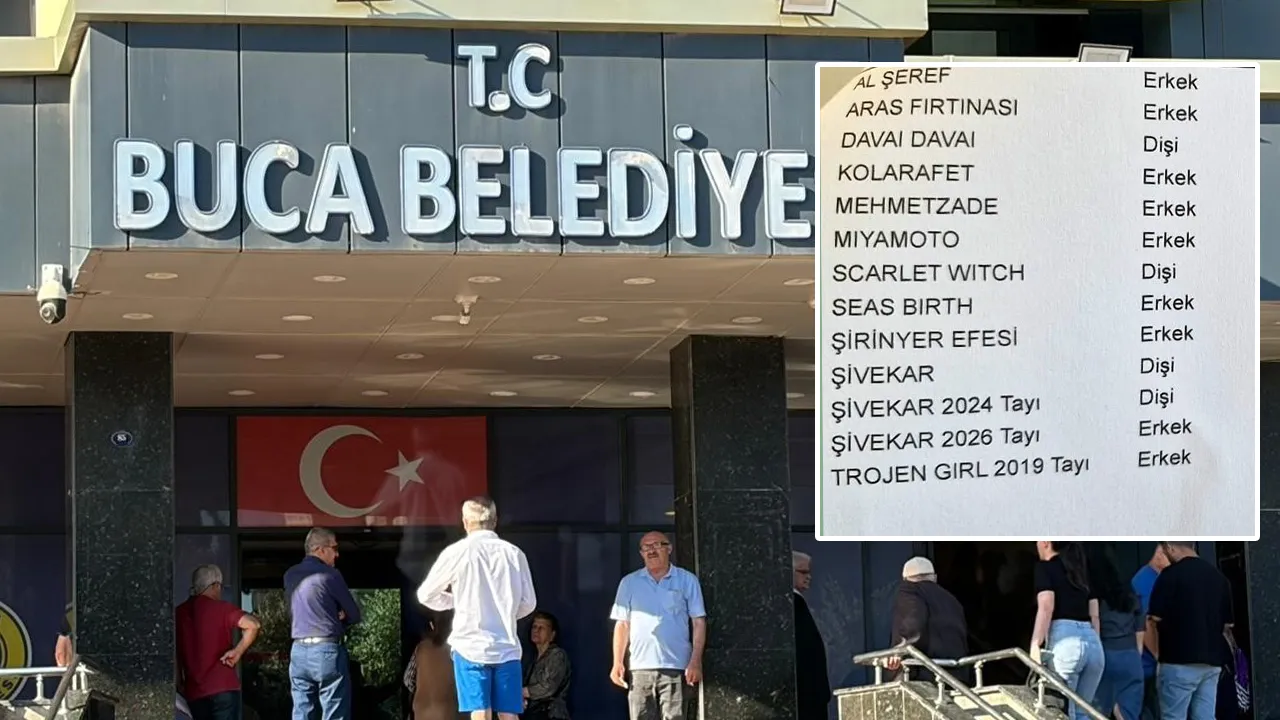 Buca Belediyesi'ne operasyonda çarpıcı detay: Memurun 13 yarış atı varmış!