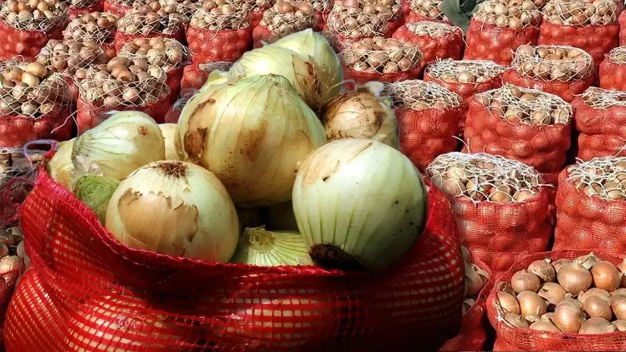 Soğandaki fiyat artışına vergi ayarı! Gıda ithalatına 'denge' düzenlemesi