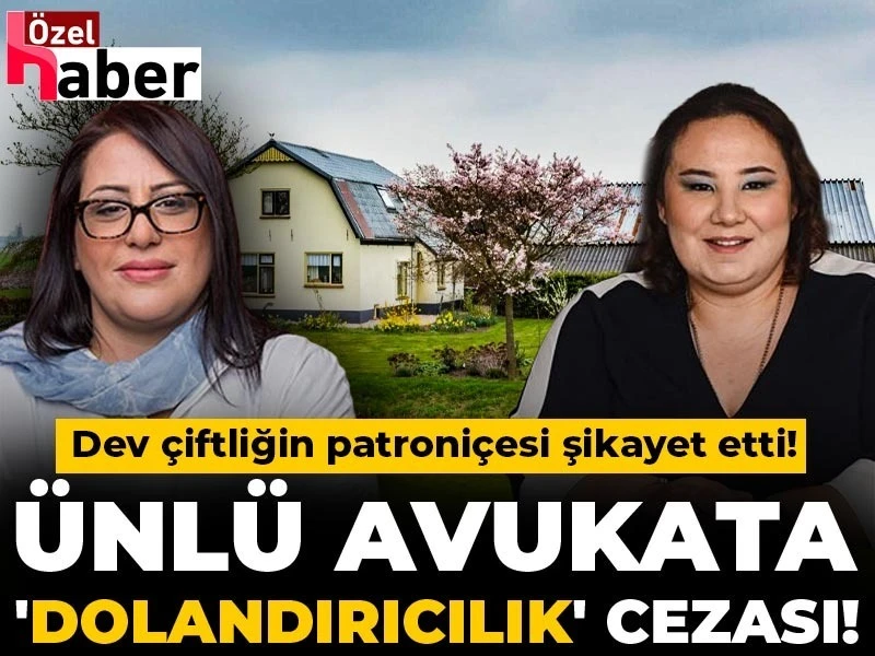 Ünlü avukata ‘dolandırıcılık’ suçundan hapis cezası