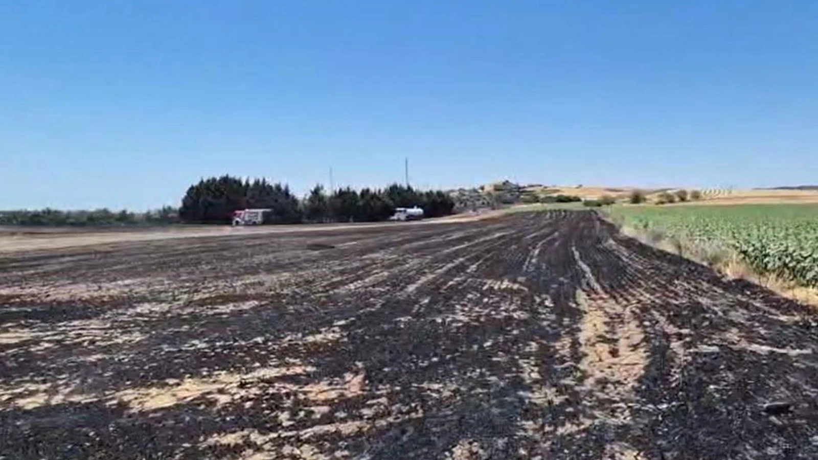 Silivri'de elektrik direği kesimi sırasında yangın: Ekili araziler zarar gördü