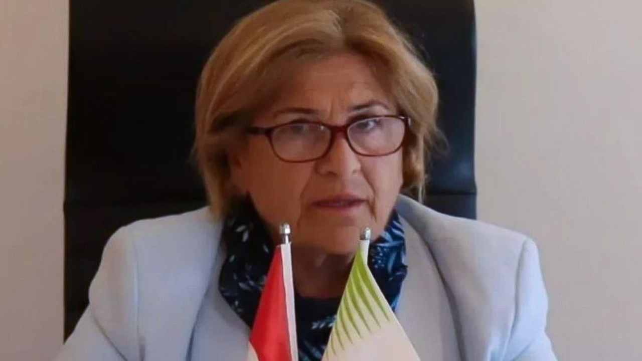 İstanbul'da Adalar Belediye Başkan Vekili CHP'li Medine Pamuk oldu