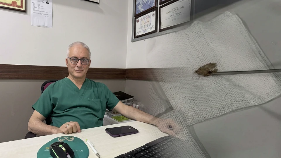 Kulağına kelebek girdi! Doktor canlı canlı çıkardı, KBB uzmanından dikkat çeken uyarı | SAĞLIK HABERLERİ