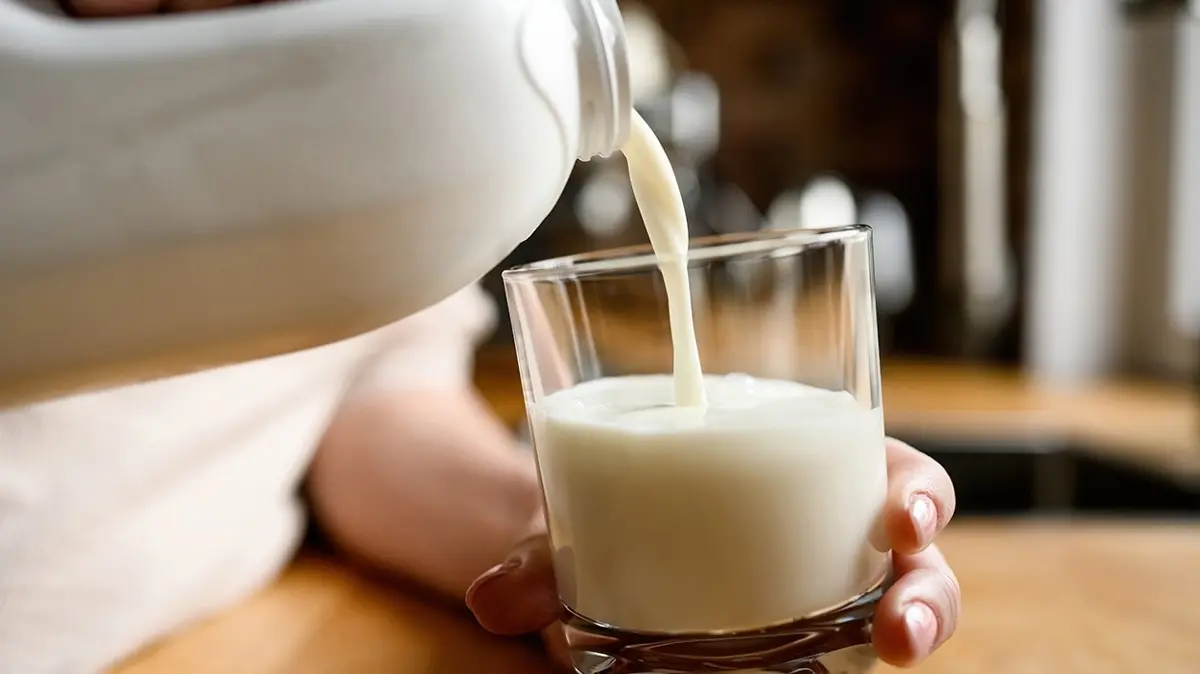 Süte bir kaşık eklemek yetiyor! Bağırsaklar saat gibi çalışacak