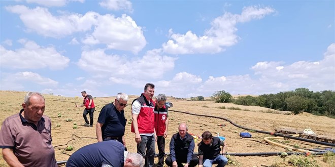 TARSİM Genel Müdürü Engürülü, Tekirdağ'da doludan zarar gören tarım alanlarını inceledi