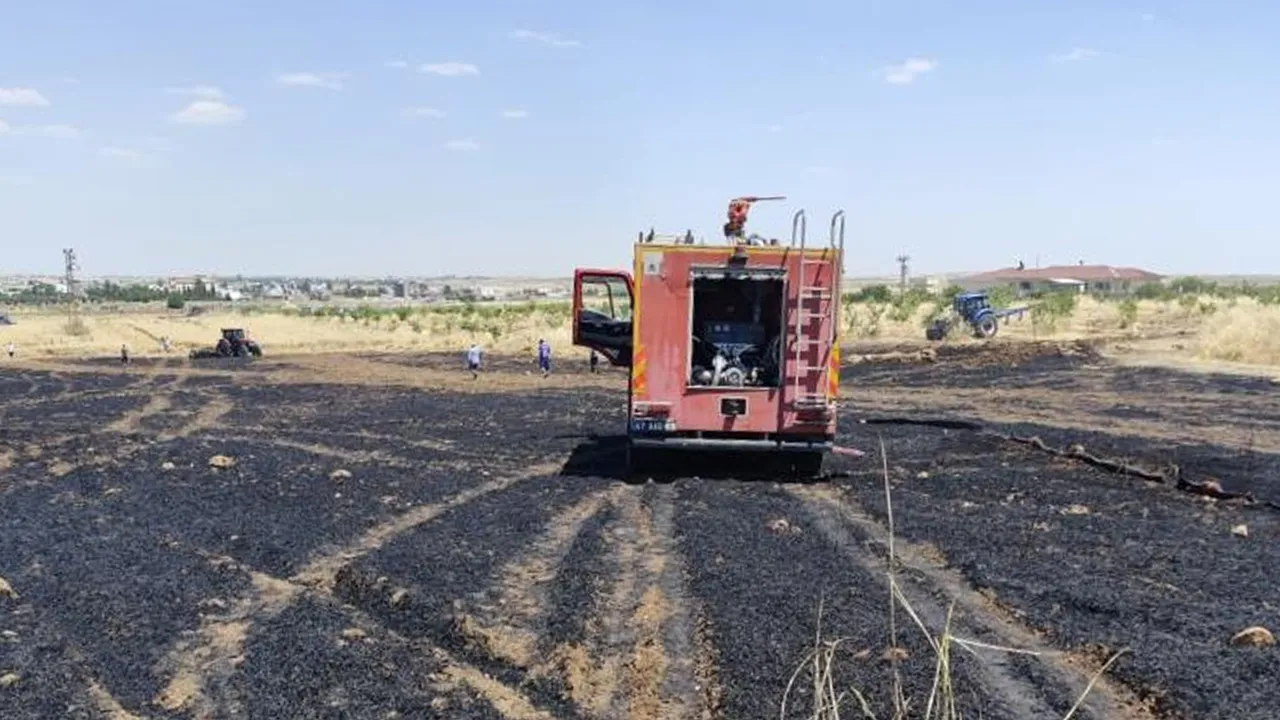Mardin'de 40 dönüm buğday ekili arazi yandı!