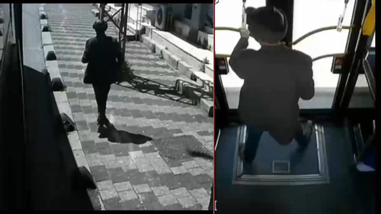 Ormanlık alanda bulunmuştu! İstanbul’daki o cesedin sırrı ortaya çıktı