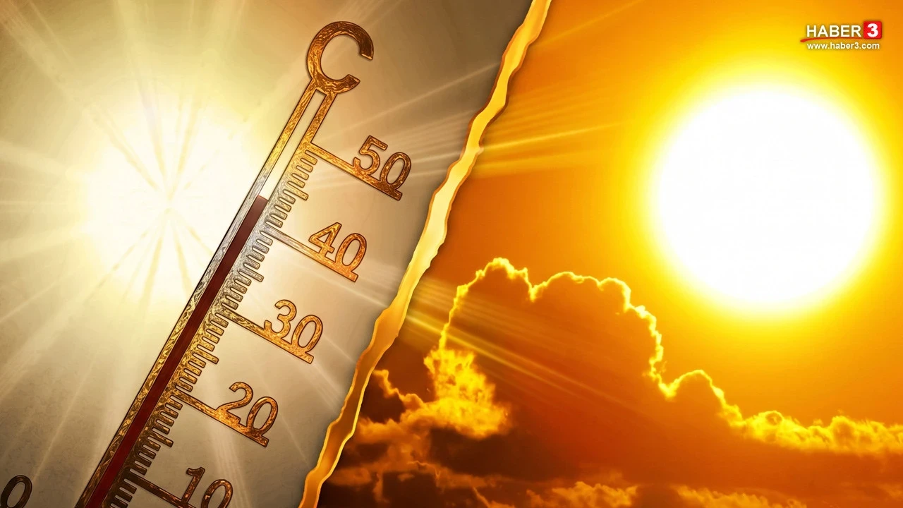 Avrupa'da aşırı sıcakların acı bilançosu ağırlaşıyor