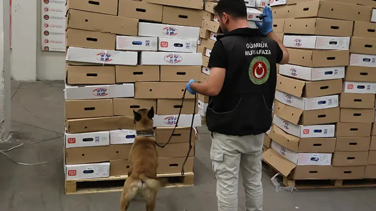Kapıkule'de zehir sevkiyatına darbe! Dondurulmuş tavuk kolilerinden uyuşturucu çıktı!