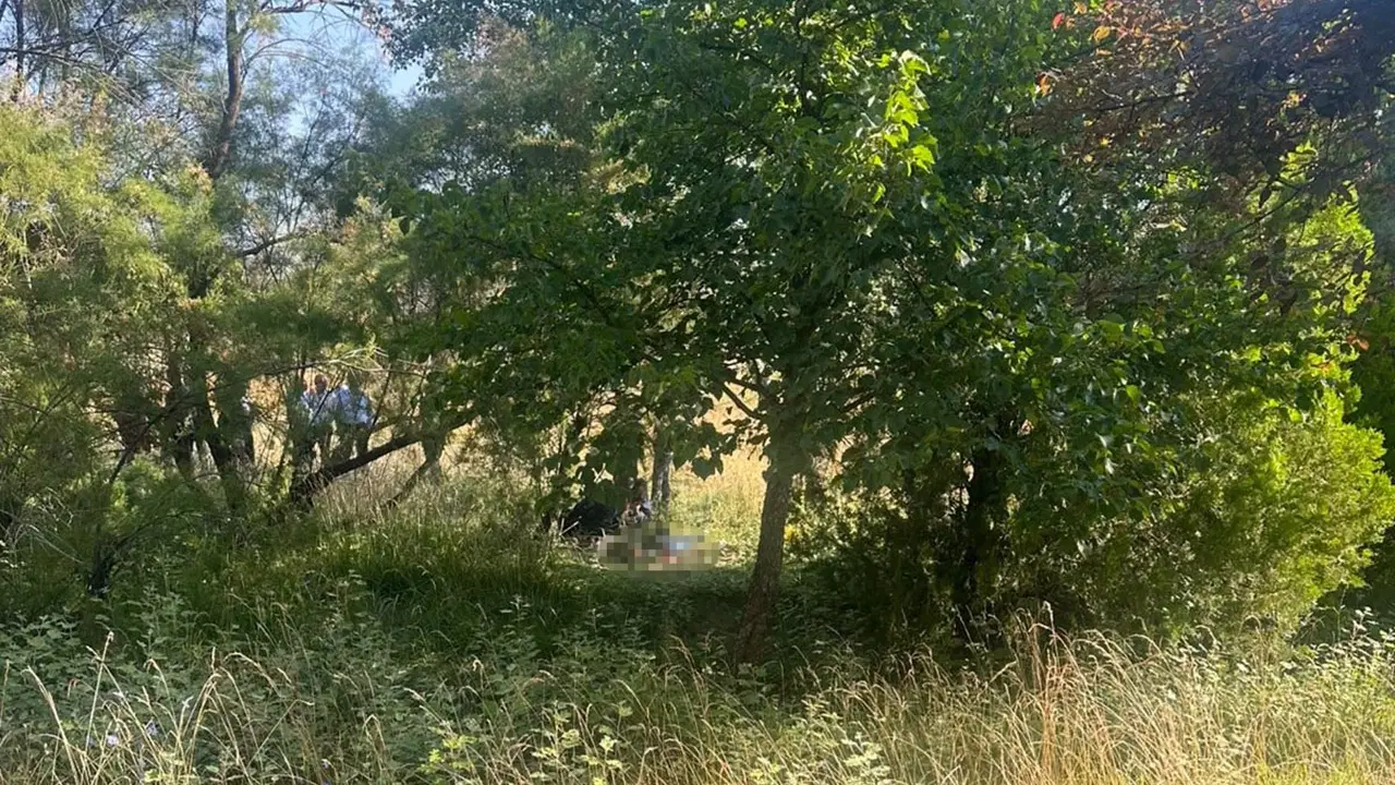 Eskişehir'de ağaçlık alanda ölü bulundu
