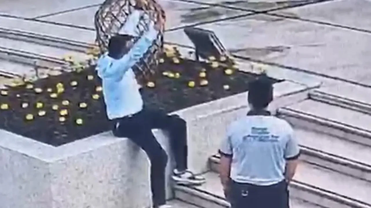 Salihli'de belediye köpeğine ve güvenlik görevlisine tekmeli saldırı: Gözü dönmüş maganda tutuklandı