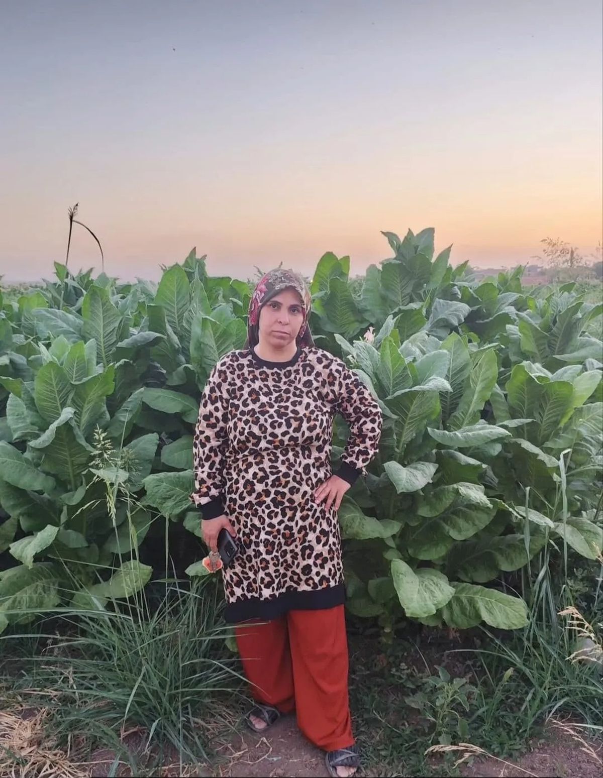 Tarlada beyin kanaması geçiren 3 çocuk annesi yaşamını yitirdi