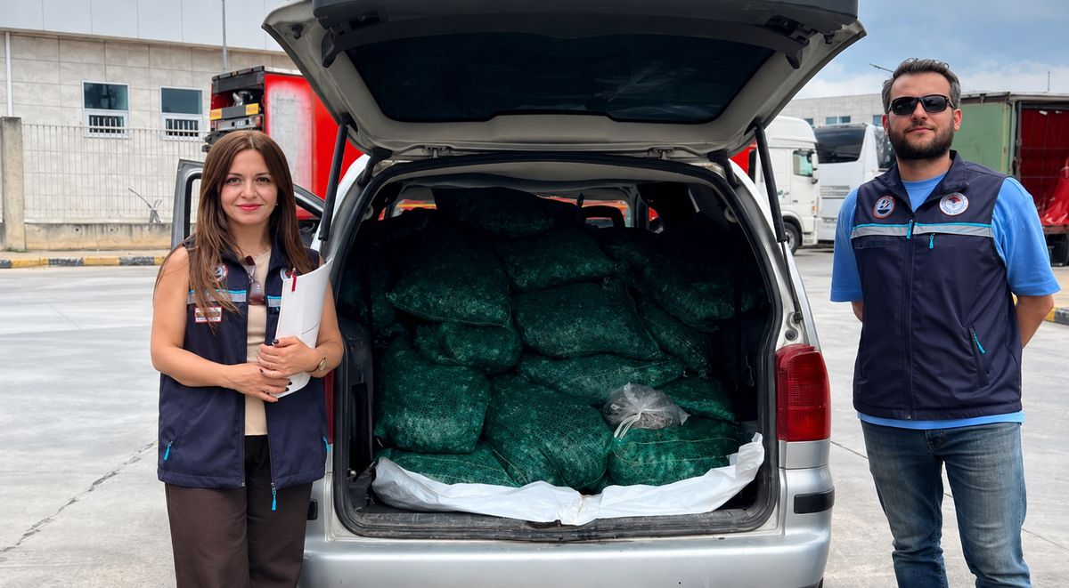 Kapıkule Sınır Kapısı'nda 840 kilogram canlı kum midyesi ele geçirildi