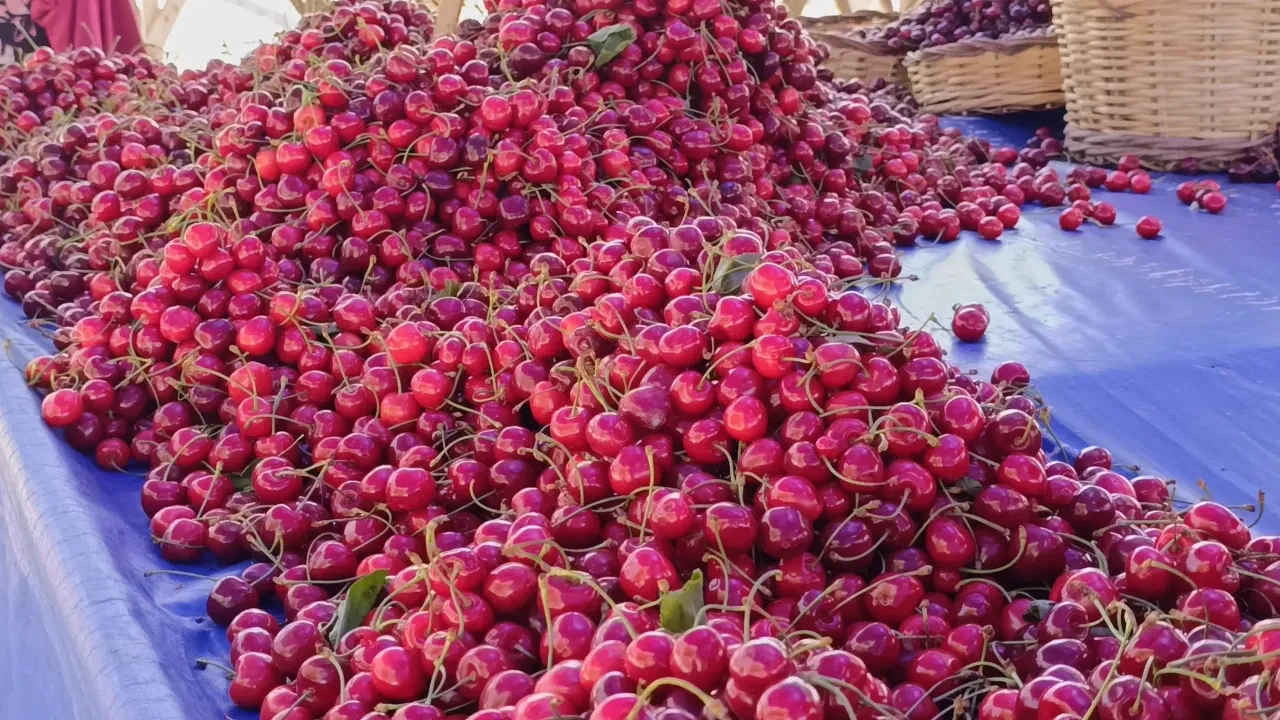 Kilosu 250 lirayı aşmıştı! Fiyatı öyle bir çakıldı ki duyan pazara koşuyor...