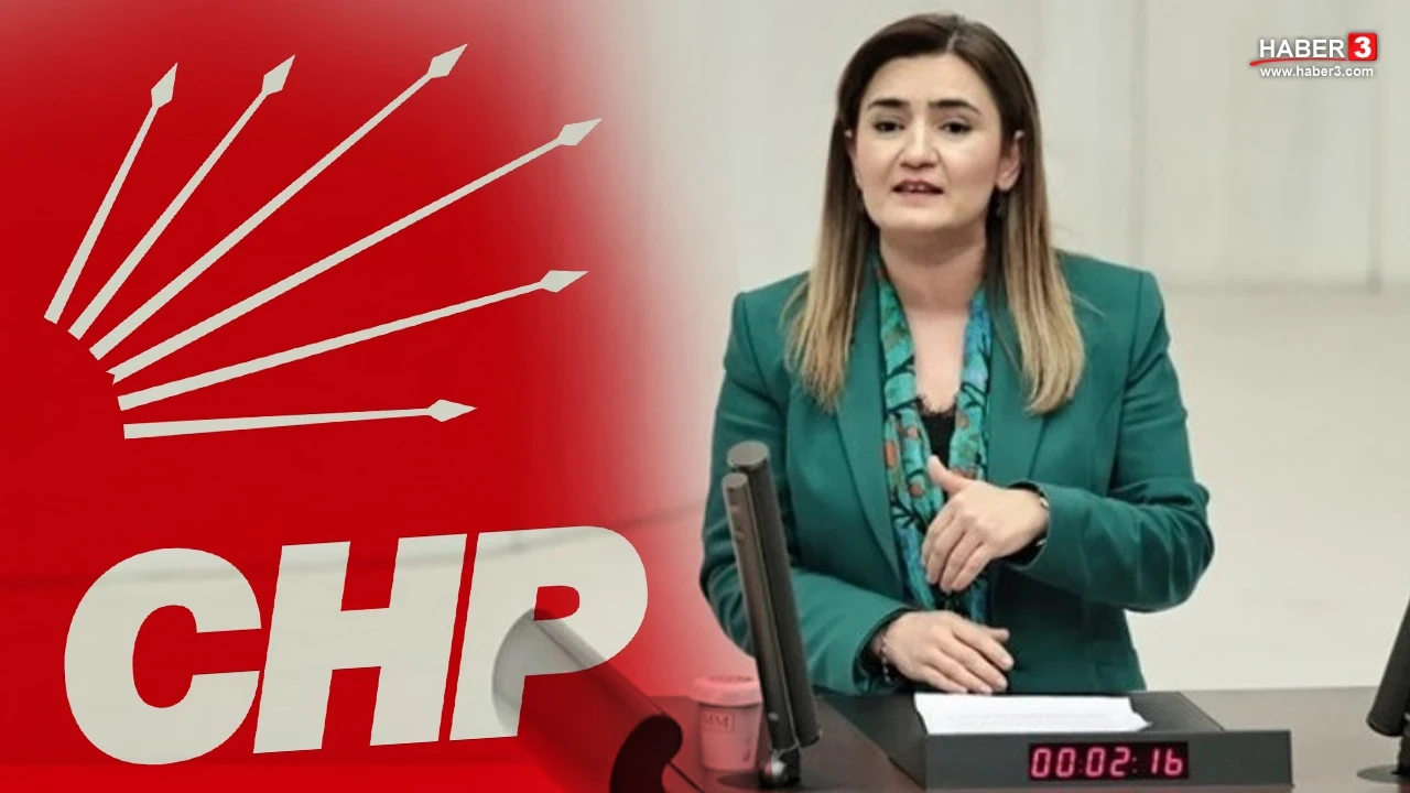 CHP'de aidat iadesi krizi: Sevda Erdan Kılıç: ''Kabul etmeyeceğim'' diyerek isyan etti