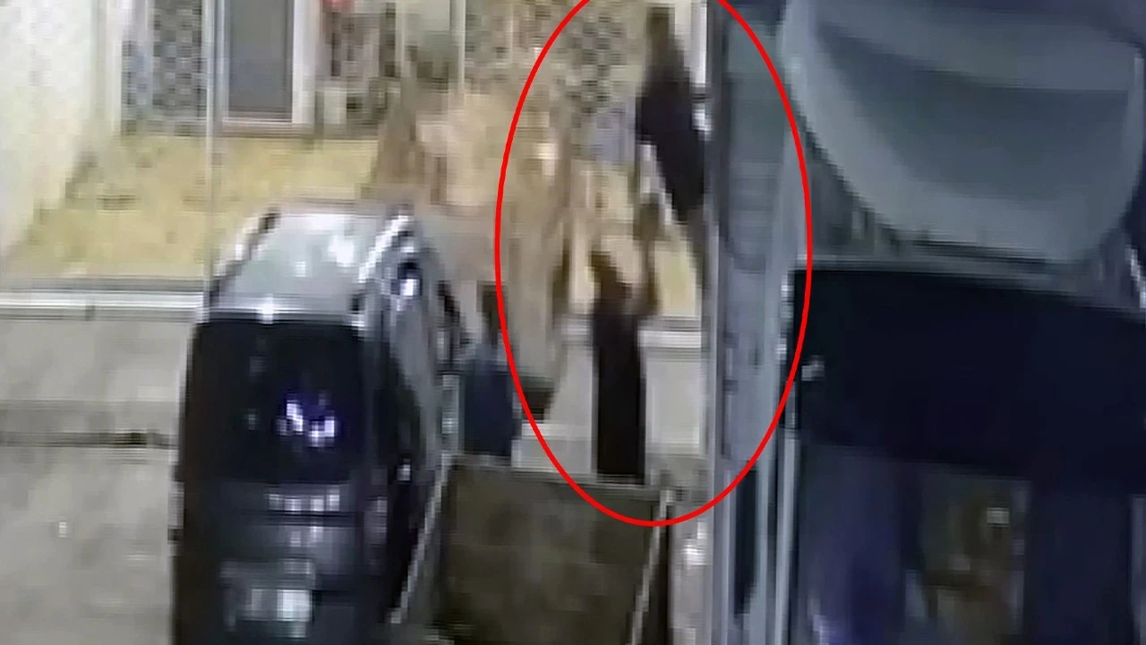 Adana’da 600 kiloluk vurgun! Çaldıklarını ne yaptıkları ortaya çıktı