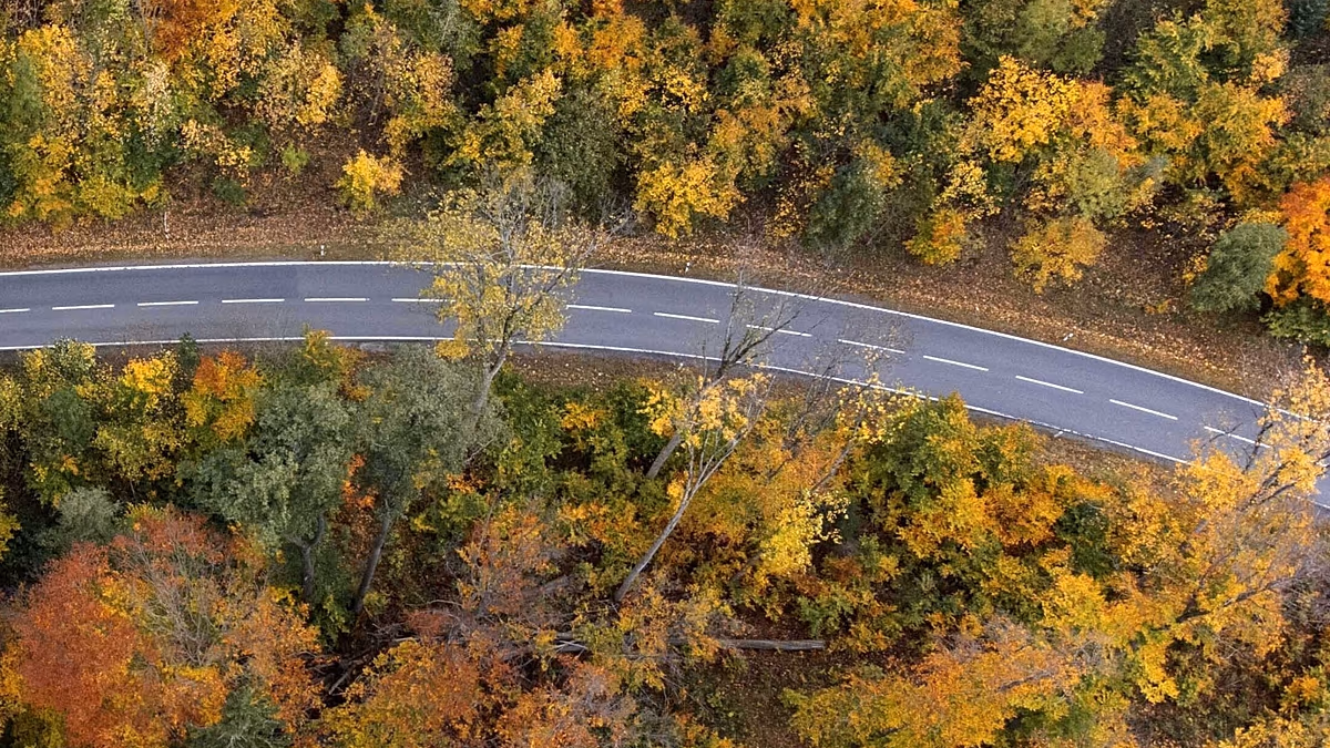 Hitler’in 70 km’lik hayalet yolu: Almanya’nın en uzun otoyol harabesi