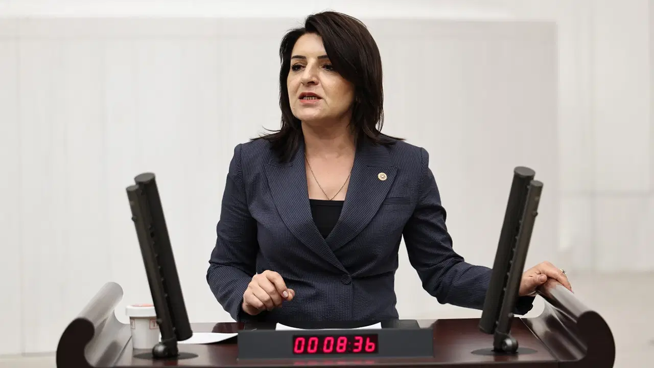 CHP'li Gülcan Kış iktidara seslendi: 'Üretimi değil ayrıcalığı koruyorlar!'