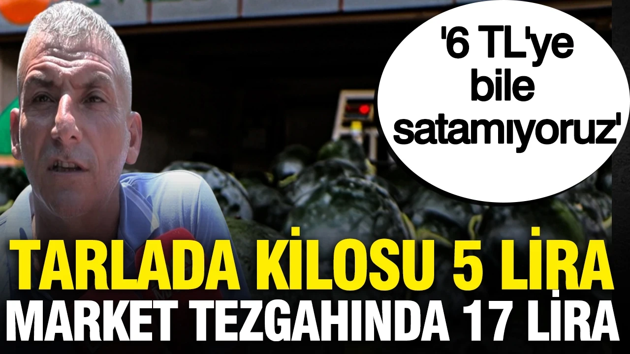 Tarlada kilosu 5 lira markette 17 TL: 125 dekarlık alanda hasatta son günler