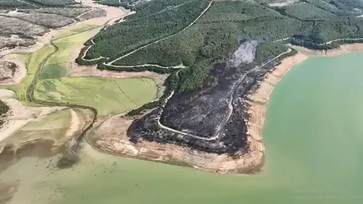 Tekirdağ'da yangında 80 dekar orman zarar gördü