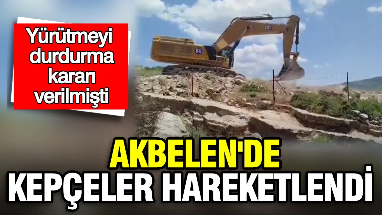 Yürütmeyi durdurma kararı verilmişti: Akbelen'de kepçeler hareketlendi