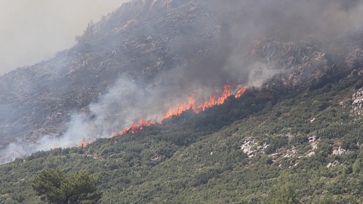 Kaş’ta orman yangını!