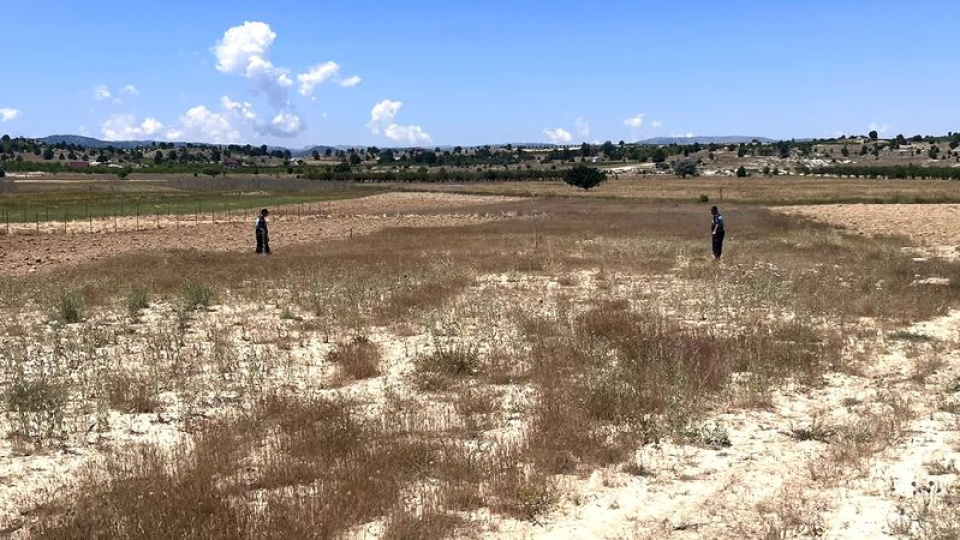 Mersin'de kaybolan kadın için arama çalışması başlatıldı