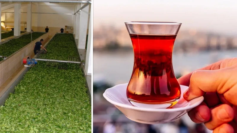 Bakanlık ortaya çıkardı: 4 ünlü çay markasında boya tespit edildi