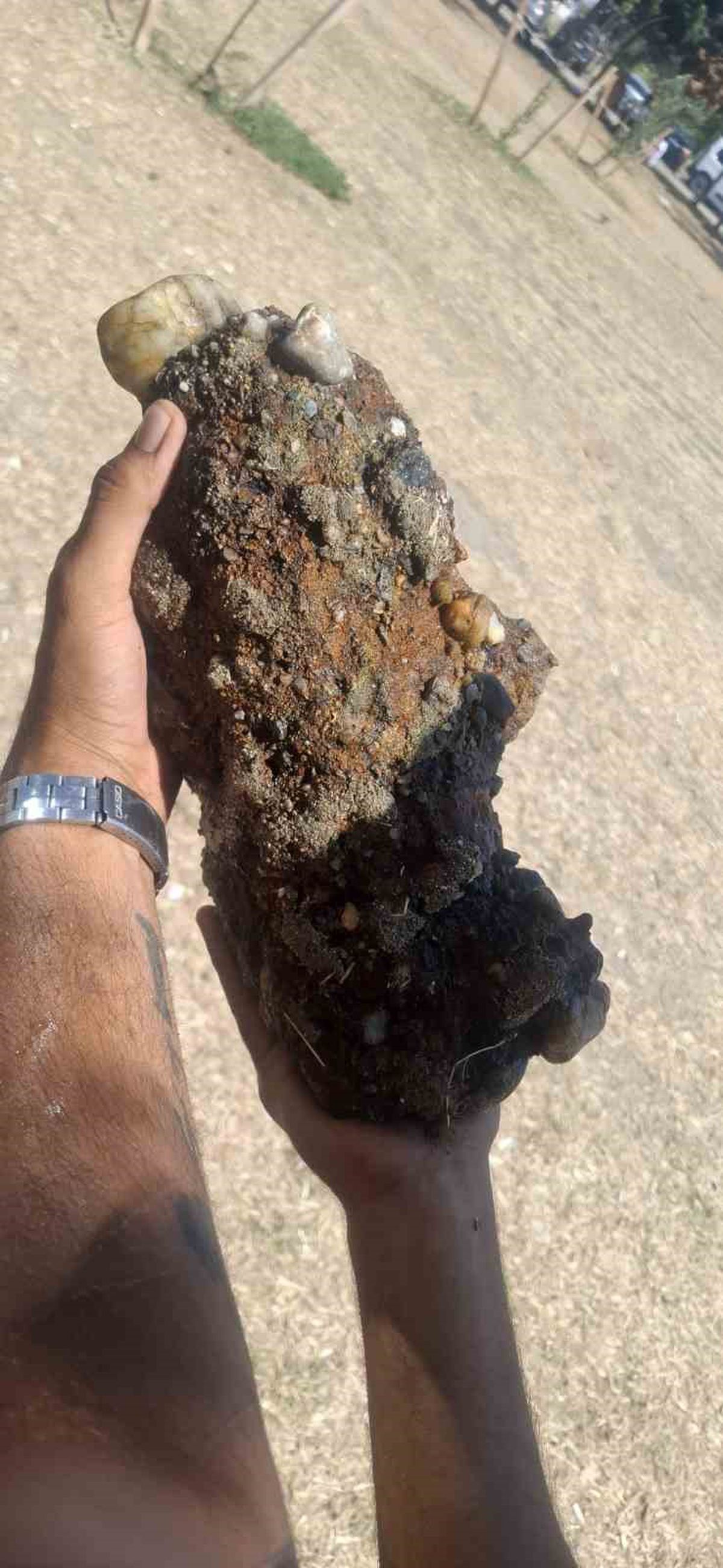 Kepez Halk Plajında Patlamamış Mühimmat Bulundu