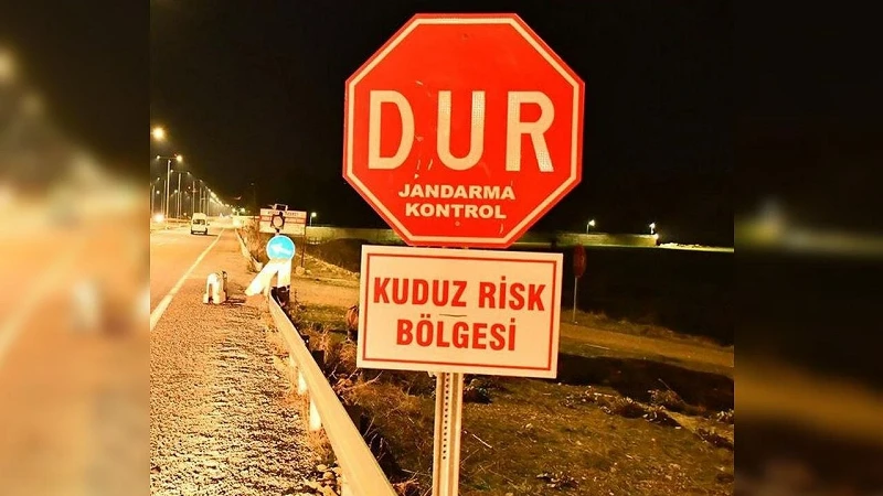 Van'da kuduz alarmı: 7 mahalle birden karantinaya alındı