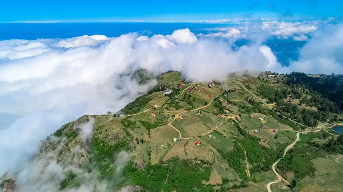 Karadeniz'de turizmin yeni cazibe merkezi Hıdırnebi Yaylası olacak! Planlama ve yatırım çalışmaları devam ediyor