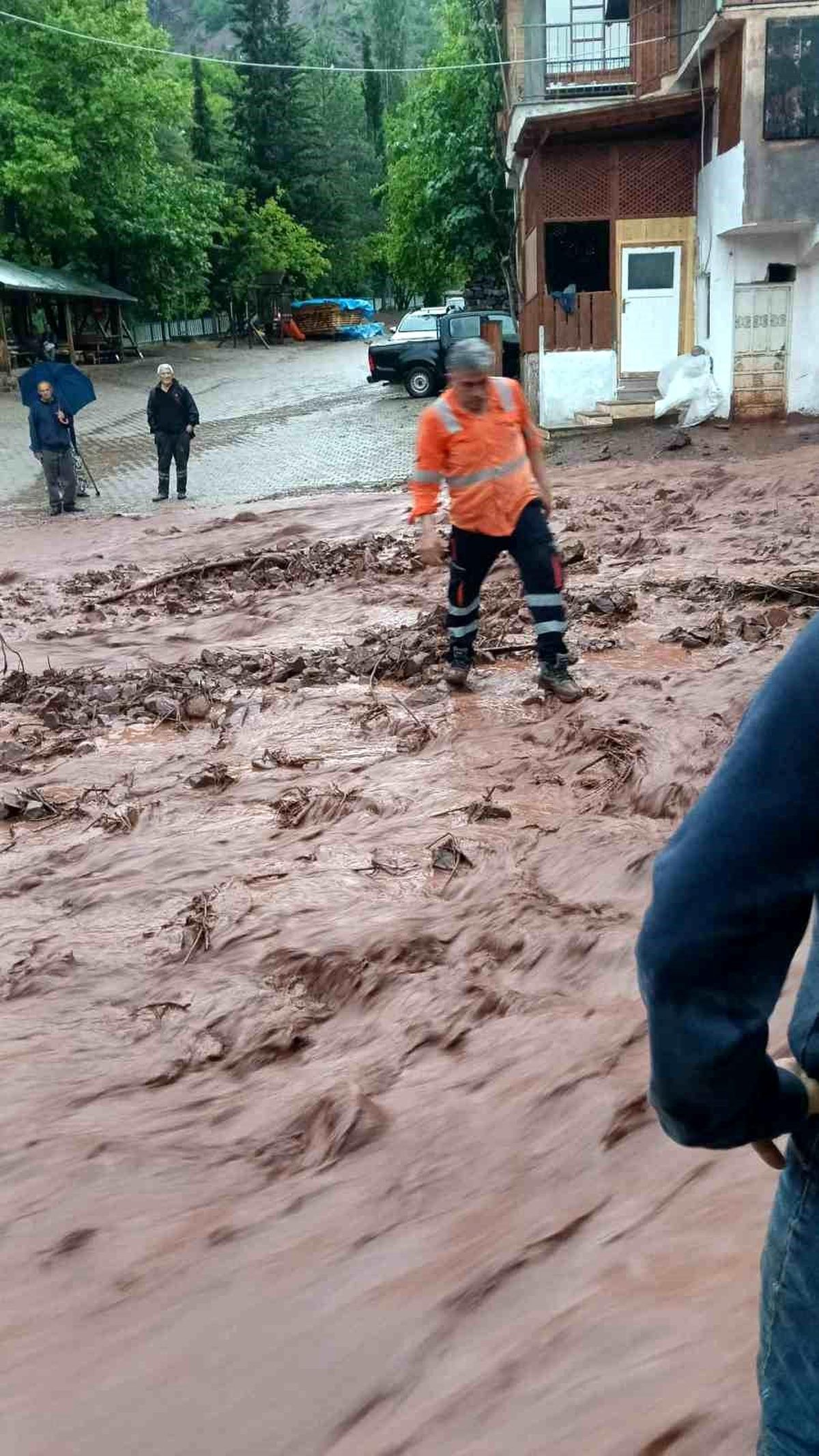 Artvin'de sağanak sonrası dereler taştı