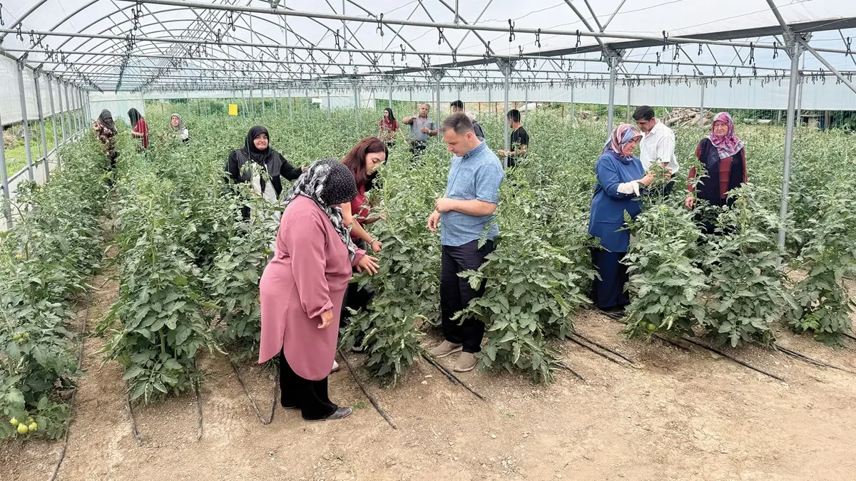 Liseliler öğrendiklerini vatandaşa aktarıyor