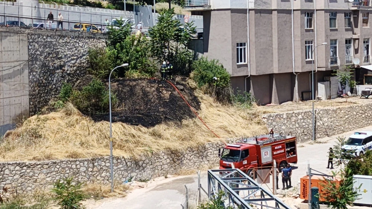 Bilecik’te Hamsu Köprüsü altında ot yangını