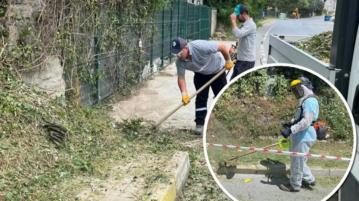 İBB kendi sorumluluğunu bile unuttu! Temizliğe AK Partili belediye el attı